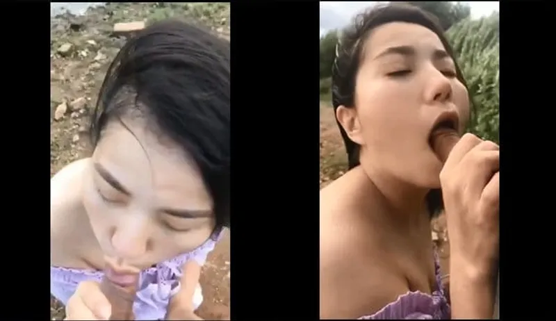 Eny bj cho gấu bên bờ sông